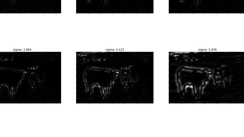 Convolution of a Laplacian of a Gaussian blob detector